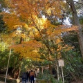 実際訪問したユーザーが直接撮影して投稿した宇治館町神社子安神社の写真