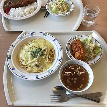 実際訪問したユーザーが直接撮影して投稿した二ツ宮その他飲食店レストラン田野の写真