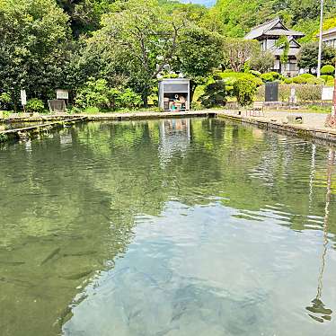 実際訪問したユーザーが直接撮影して投稿した上大羽釣り大川戸つり堀の写真