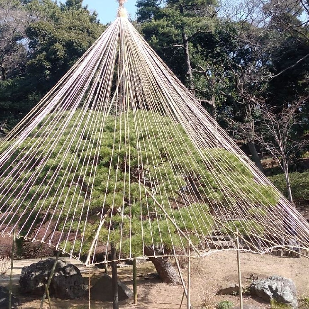 ぽんぽこ2さんが投稿した目白台庭園のお店肥後細川庭園/ヒゴホソカワテイエンの写真