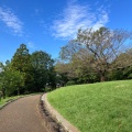 実際訪問したユーザーが直接撮影して投稿した公園八国山緑地の写真