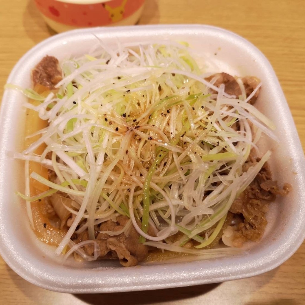 ユーザーが投稿した牛丼並弁当 髪ねぎTP持の写真 - 実際訪問したユーザーが直接撮影して投稿した五十嵐1の町牛丼すき家 新潟大学前店の写真