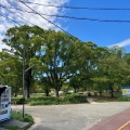 実際訪問したユーザーが直接撮影して投稿した武庫元町公園西武庫公園の写真