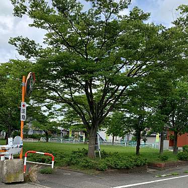 実際訪問したユーザーが直接撮影して投稿した西新斎町公園西新斎町公園の写真