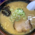 味噌ラーメン - 実際訪問したユーザーが直接撮影して投稿した北三十三条西ラーメン / つけ麺月見軒 本店の写真のメニュー情報