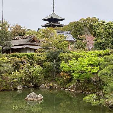 マグノリアうさぎさんが投稿した御室大内寺のお店仁和寺/ニンナジの写真