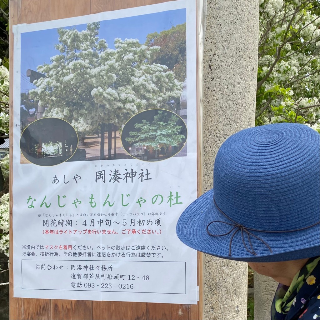 実際訪問したユーザーが直接撮影して投稿した船頭町神社岡湊神社の写真