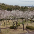 実際訪問したユーザーが直接撮影して投稿した塚脇公園摂津峡公園の写真