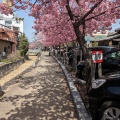 実際訪問したユーザーが直接撮影して投稿した北寺町商店街桑名寺町通り商店街の写真