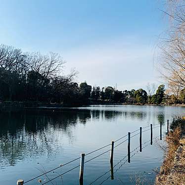 実際訪問したユーザーが直接撮影して投稿した善福寺湖沼 / 池善福寺池(上池・下池)の写真