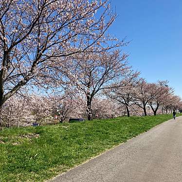 YUN722さんが投稿した五千石河川のお店大河津分水/オオコウヅブンスイの写真