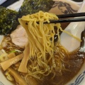 ラーメン - 実際訪問したユーザーが直接撮影して投稿した桃山町ラーメン / つけ麺上州家の写真のメニュー情報