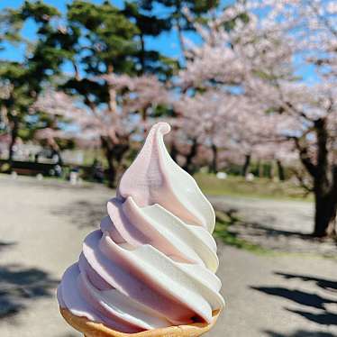 箱館奉行所のundefinedに実際訪問訪問したユーザーunknownさんが新しく投稿した新着口コミの写真