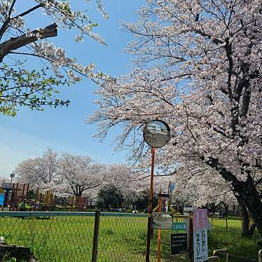 三本松公園のundefinedに実際訪問訪問したユーザーunknownさんが新しく投稿した新着口コミの写真