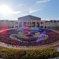 実際訪問したユーザーが直接撮影して投稿した舞浜地域名所ミッキー花壇の写真