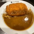 ポークカレー - 実際訪問したユーザーが直接撮影して投稿した九条南カレーCoCo壱番屋 フォレオ大阪ドームシティ店の写真のメニュー情報