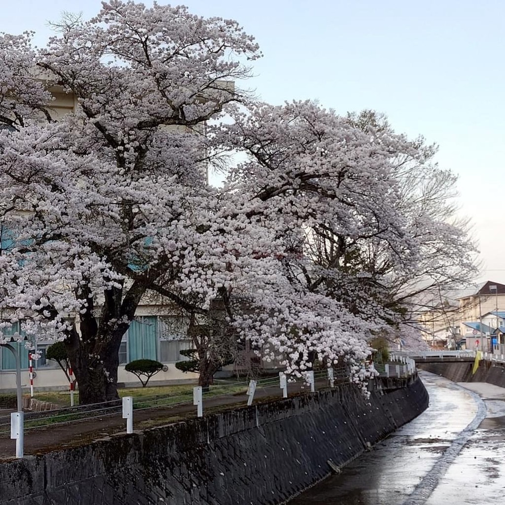 実際訪問したユーザーが直接撮影して投稿した田島町村役場南会津町役場の写真