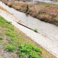 実際訪問したユーザーが直接撮影して投稿した今田公園境川遊水地公園の写真