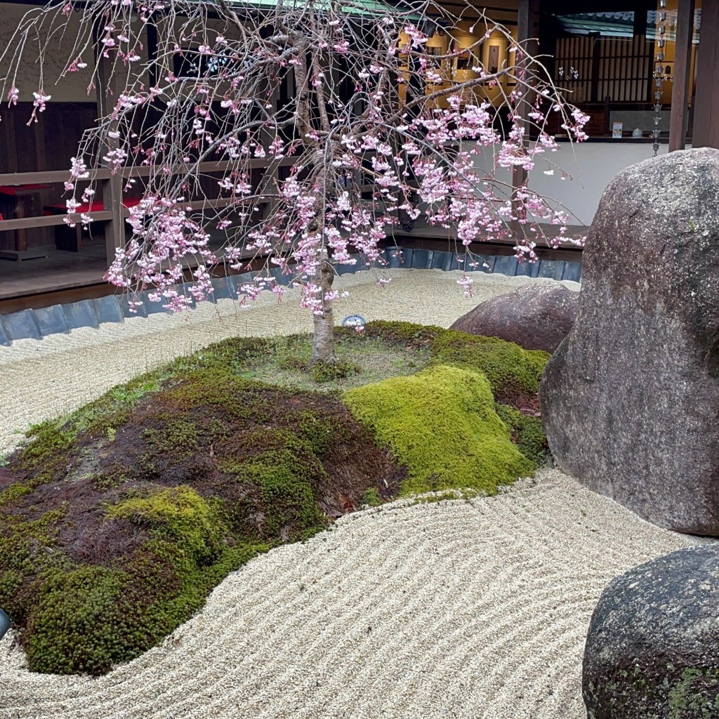 旅めぐり味めぐりさんが投稿した大強原喫茶店のお店珈琲庭 桜/コーヒーテイサクラの写真