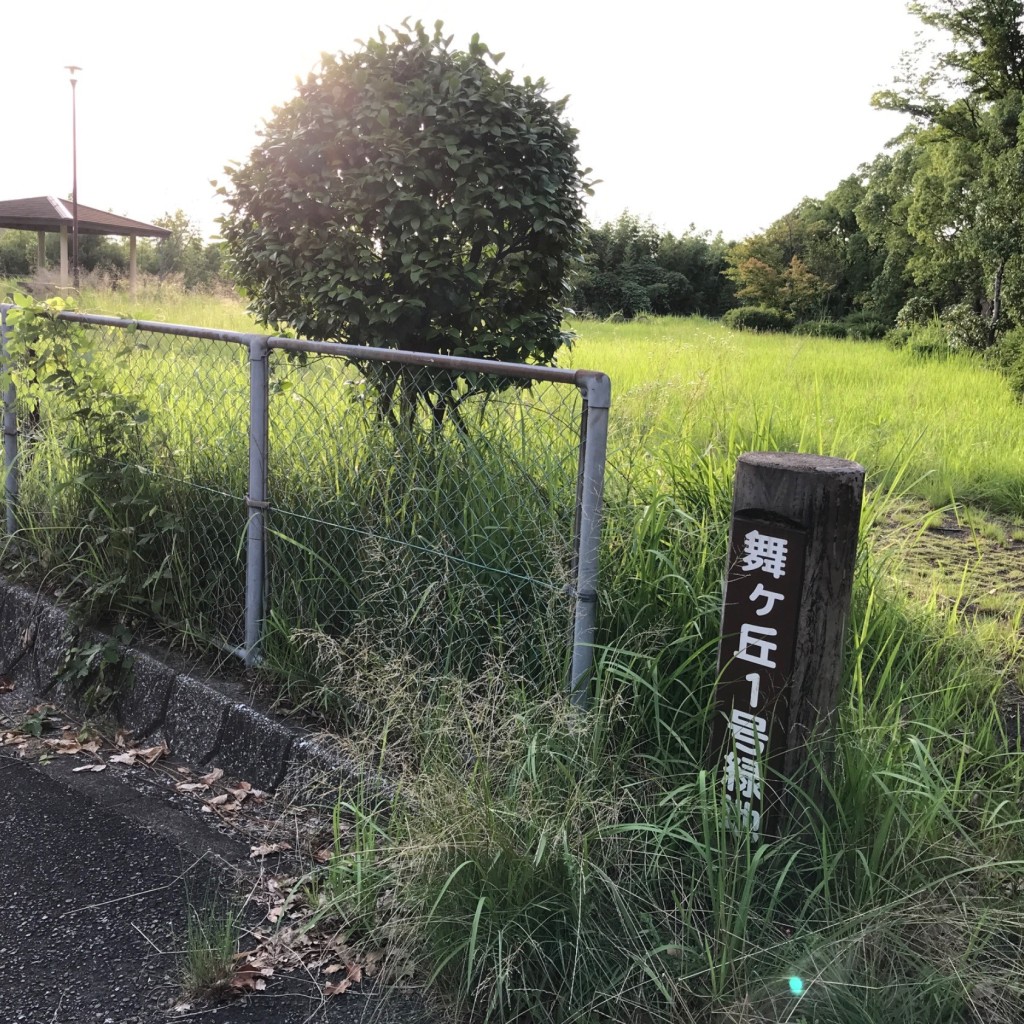 実際訪問したユーザーが直接撮影して投稿した舞ケ丘公園舞ケ丘1号緑地の写真