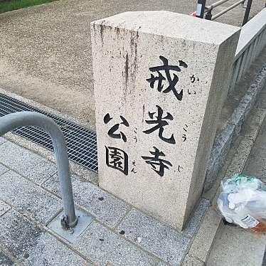 実際訪問したユーザーが直接撮影して投稿した西九条戒光寺町公園戒光寺公園の写真