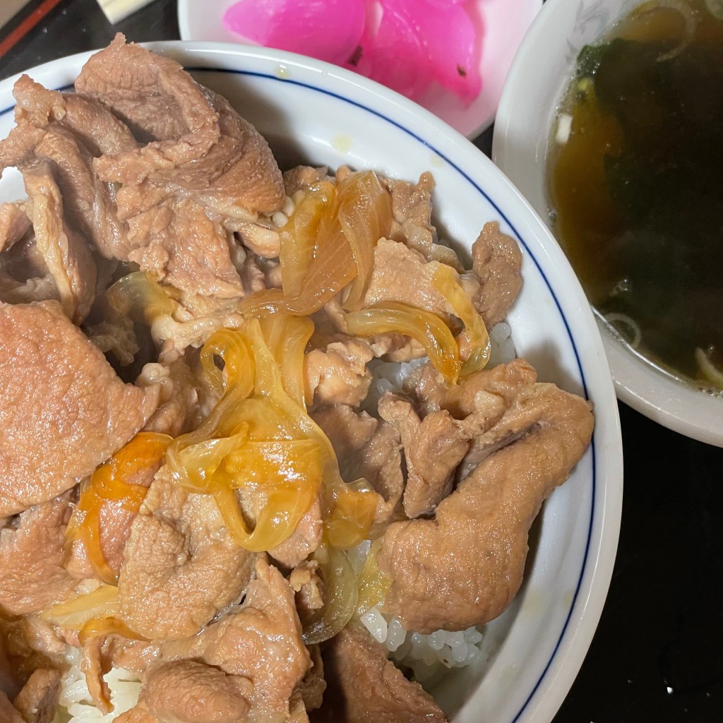 ユーザーが投稿した肉丼の写真 - 実際訪問したユーザーが直接撮影して投稿した長坂町長坂上条定食屋成駒屋の写真