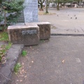 実際訪問したユーザーが直接撮影して投稿した正木公園正木公園の写真