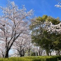 実際訪問したユーザーが直接撮影して投稿した東野町公園落合公園の写真