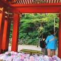 実際訪問したユーザーが直接撮影して投稿した雪ノ下神社鶴岡八幡宮 手水舎の写真