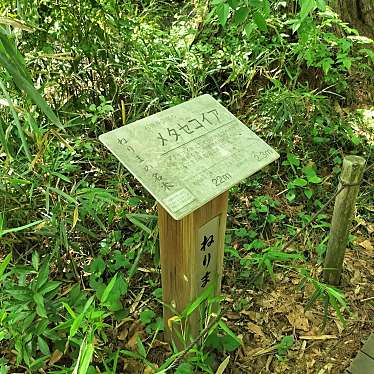 ねりまの名木 石神井公園のメタセコイアのundefinedに実際訪問訪問したユーザーunknownさんが新しく投稿した新着口コミの写真