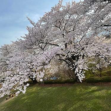 春日公園のundefinedに実際訪問訪問したユーザーunknownさんが新しく投稿した新着口コミの写真