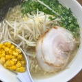 実際訪問したユーザーが直接撮影して投稿した椿ラーメン / つけ麺サッポロラーメン 一光の写真