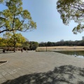 実際訪問したユーザーが直接撮影して投稿した落合公園多摩中央公園の写真