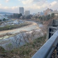 実際訪問したユーザーが直接撮影して投稿した桜ケ岡公園河川広瀬川の写真