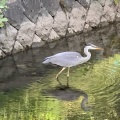 実際訪問したユーザーが直接撮影して投稿した馬場町公園鶴岡公園の写真