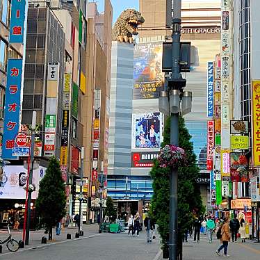実際訪問したユーザーが直接撮影して投稿した歌舞伎町通りゴジラロードの写真