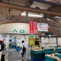 実際訪問したユーザーが直接撮影して投稿した大野町産地直売所葉菜の森 和泉店の写真