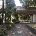 実際訪問したユーザーが直接撮影して投稿した砧公園橋パークブリッジの写真