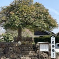 実際訪問したユーザーが直接撮影して投稿した佐草町神社八重垣神社の写真