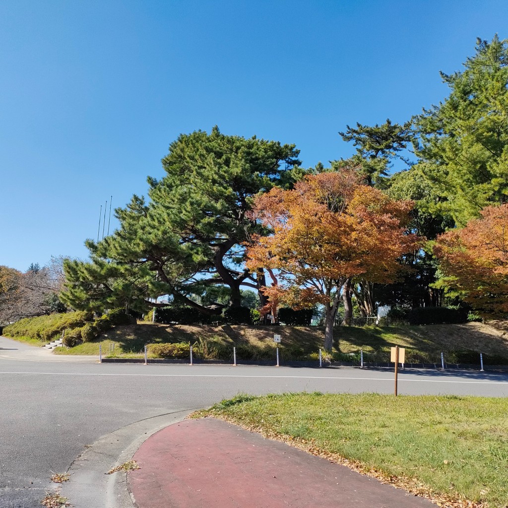 実際訪問したユーザーが直接撮影して投稿した若松町公園南公園の写真