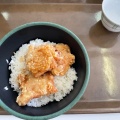 チキンタツタ丼 - 実際訪問したユーザーが直接撮影して投稿した弥生町フードコート千葉大学生活協同組合 フードコート3の写真のメニュー情報