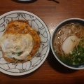 ミニかつ丼 - 実際訪問したユーザーが直接撮影して投稿した立花町和食 / 日本料理とき里 伊万里本店の写真のメニュー情報