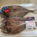 実際訪問したユーザーが直接撮影して投稿した津屋崎魚介 / 海鮮料理お魚センターうみがめの写真
