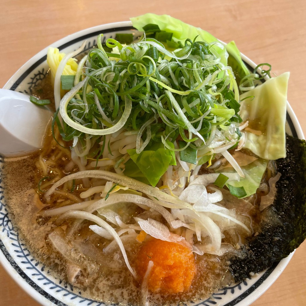 Shillaさんが投稿した関町北ラーメン専門店のお店丸源ラーメン 練馬関町店/マルゲンラーメン ネリマセキマチテンの写真