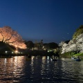 実際訪問したユーザーが直接撮影して投稿した麹町公園千鳥ヶ淵公園の写真