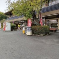 実際訪問したユーザーが直接撮影して投稿した園城寺町和食 / 日本料理れすとらん風月の写真