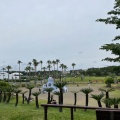 実際訪問したユーザーが直接撮影して投稿した辻堂西海岸公園神奈川県立 辻堂海浜公園の写真