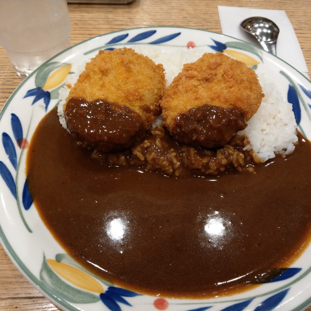 ユーザーが投稿したカレー600の写真 - 実際訪問したユーザーが直接撮影して投稿した駅前本町カレーカレーハウス ピヨ 川崎アゼリア店の写真