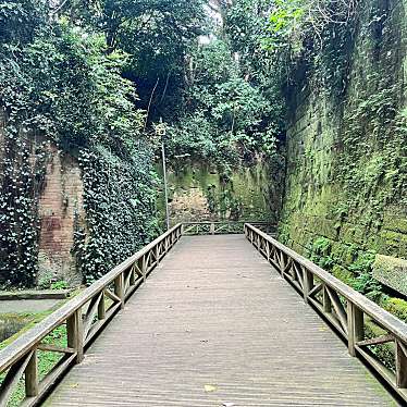 かつかつ2400さんが投稿した猿島公園のお店猿島公園/サルシマコウエンの写真