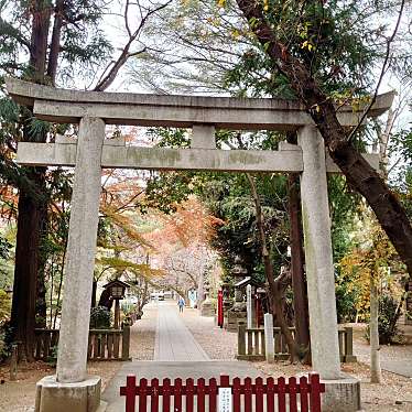 実際訪問したユーザーが直接撮影して投稿した宮町神社久伊豆神社の写真